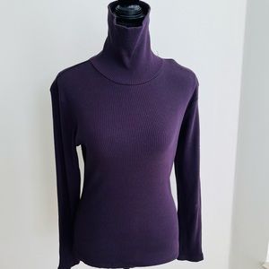 Express Turtleneck Sweater